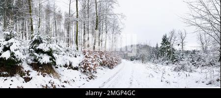 Schneebedeckte Wege im Teutoburger Wald Foto Stock