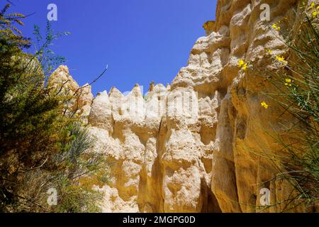 Calcare francese camini alta formazione naturale paesaggio geologico in Orgues Ille sur Tet Languedoc in Francia Foto Stock