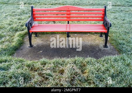 Panca del parco in legno rosso e metallo Foto Stock
