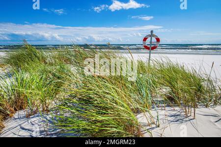 Dueodde, la spiaggia di sabbia bianca sulla costa meridionale di Bornholm, Danimarca Foto Stock