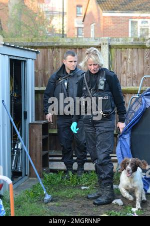 Un cane sniffer della polizia a Gloucester dove una di una serie di incursioni all'alba sono state fatte questa mattina come parte dell'operazione Zephyr mirante a rompere una cocaina Foto Stock