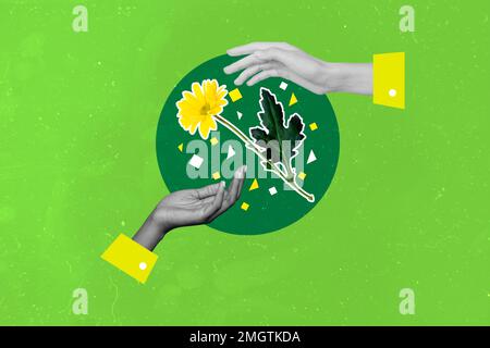 Creative 3D foto collage grafica pittura di armi condividere un fiore giallo isolato sfondo disegno Foto Stock