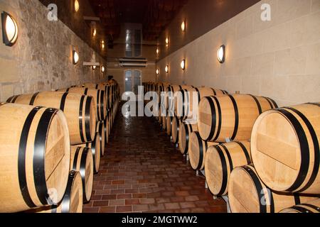 Cantina vino in botti di rovere nella vendemmia saint emilion unesco villaggio bordeaux Francia Foto Stock