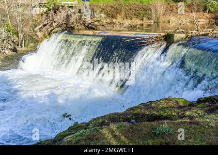 Una vista del Brewery Park con una delle cascate di Tumwater Falls. Foto Stock