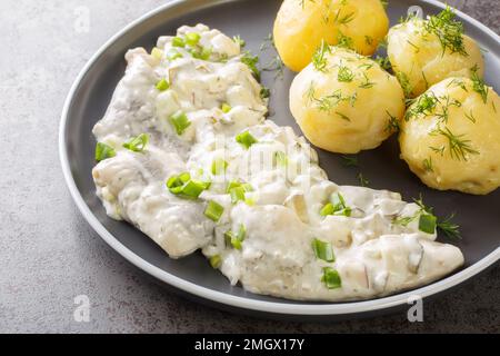 Aringa con salsa cremosa con mele, sottaceti e cipolle con patate bollite guarnire in un piatto sul tavolo. orizzontale Foto Stock