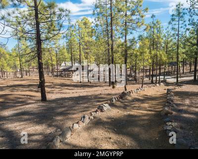 Camping area con capanne a Campamento Madre del Agua in pineta vicino Vilaflor città. Foto Stock