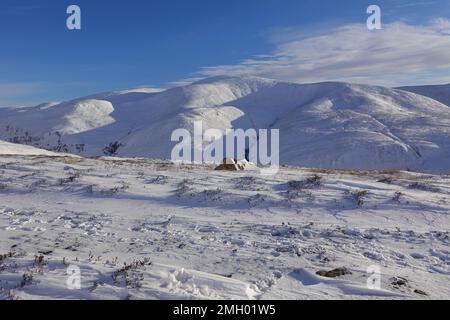 Massiccio di Beinn A' Ghlo visto da Glen Tilt ad ovest, Highlands scozzesi Uninted Kingdom Foto Stock