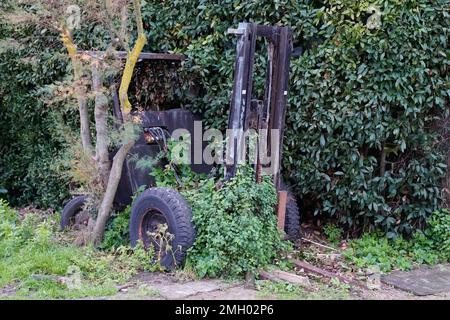 carrello a forche vecchio abbandonato sollevatore arrugginito nella foresta naturale selvaggia Foto Stock