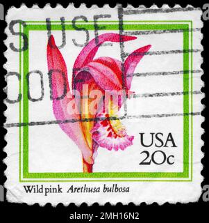 USA - CIRCA 1984: Uno Stamp stampato negli USA mostra il Wild Pink (Arethusa bulbosa), serie Orchidee, circa 1984 Foto Stock