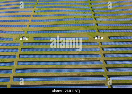 Vista aerea su pannelli solari di centrale fotovoltaica / parco solare per la fornitura di energia elettrica, Meclemburgo-Pomerania anteriore, Germania Foto Stock