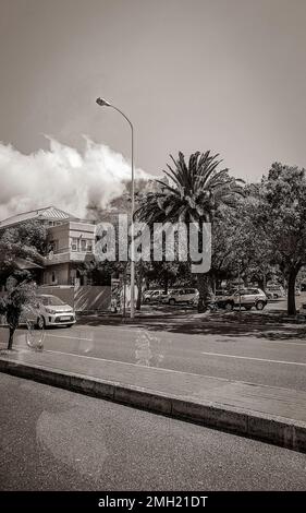 Guida attraverso le strade di Città del Capo con palme in estate, Sud Africa. Foto Stock