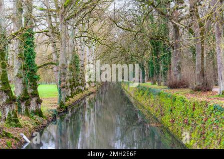 Chenonceau, Francia - 29 2022 dicembre: Foresta e torrente nel giardino esterno del castello di Chenonceau Foto Stock