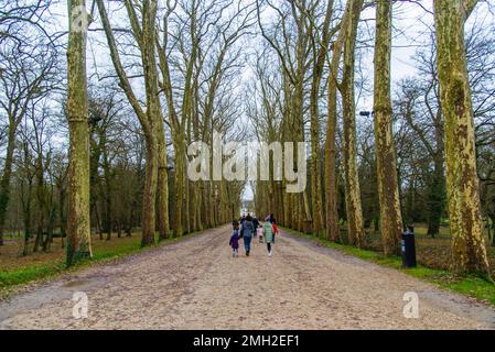 Chenonceau, Francia - 29 2022 dicembre: Foresta e torrente nel giardino esterno del castello di Chenonceau Foto Stock