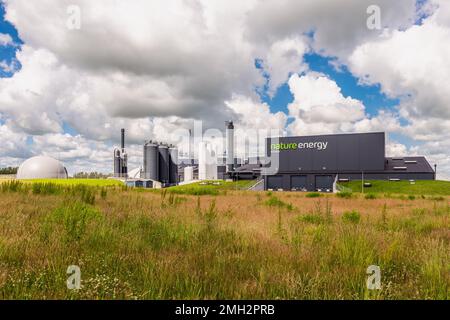 Impianto di biogas per l'energia naturale a Esbjerg, Danimarca. Nature Energy è il maggiore produttore danese di biogas Foto Stock