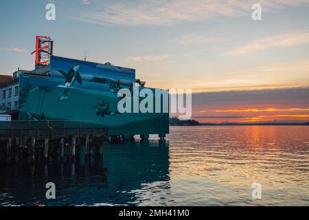 Edgewater Hotel orca murale in Alaskan Way durante il tramonto, crepuscolo Foto Stock