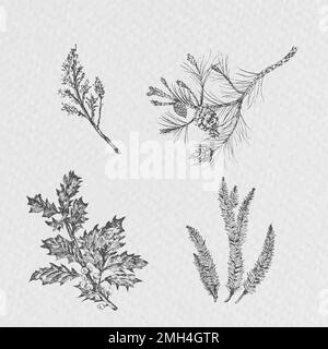Vettore di piante di Natale disegnate a mano Illustrazione Vettoriale