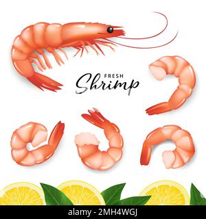Icone realistiche di gamberetti e limone. Disegno di gamberetti bolliti su sfondo bianco. Raccolta gamberetti, gamberetti senza guscio, carne di gamberetti. vettore Illustrazione Vettoriale