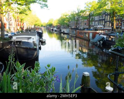 AMSTERDAM, PAESI BASSI - 01 MAGGIO 2018: Vista sul canale Brouwersgracht con vista sfocata delle barche sul canale Foto Stock