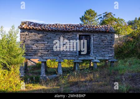 Primo piano di un Horreo, una tradizionale costruzione galiziana, in una giornata di sole estate Foto Stock