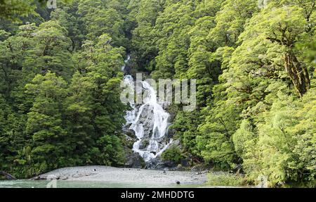 Fantail Falls, Nuova Zelanda Foto Stock