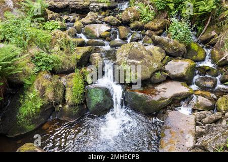 Bella cascata in Germania Triberg Foto Stock