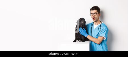 Bel giovane veterinario medico graffiare carino nero pug, animale domestico un cane, in piedi in scrub su sfondo bianco Foto Stock