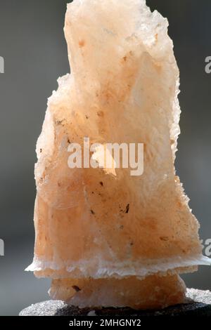 Sale himalayano tintato rosa (halite) di varie forme naturali : (pix Sanjiv Shukla) Foto Stock