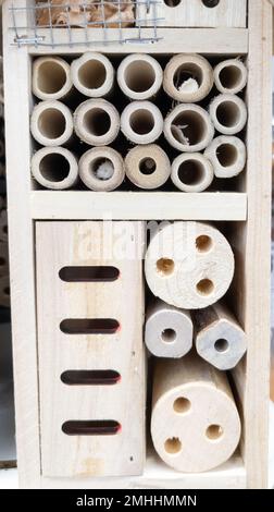 bug hotel legno insetto casa ladybird ape casa in insetti ecologici proteggere il concetto di giardinaggio Foto Stock