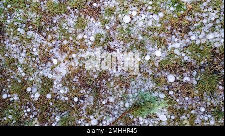 mucchio di grandine grande sul terreno molte palle di ghiaccio dopo la tempesta di neve di estate di primavera violenta Foto Stock