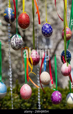 Le uova dipinte pendono dai rami dell'albero di Pasqua. Il fuoco è su un uovo giallo dipinto dai bambini a mano. Foto di alta qualità Foto Stock