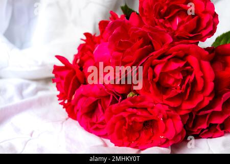 Fiore coloratissimo bouquet di rose rosse isolato su sfondo bianco. Primo piano. Foto Stock