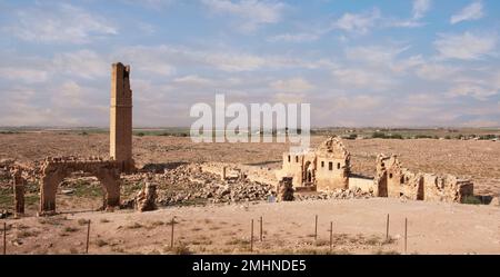 La prima università del mondo, 12. Secolo, antica città di Harran . Urfa Turchia Foto Stock