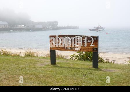 Cartello in legno sulla riva di Halfmoon Bay, Oban Township, Stewart Island, Nuova Zelanda. Foto Stock