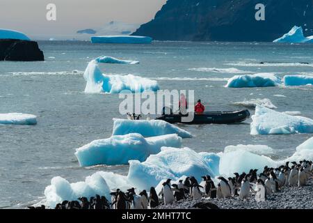 I leader della spedizione della nave della spedizione Aurora il Greg Mortimer si prepara ad atterrare il loro zodiaco sulla spiaggia vicino a Brown Bluff, la penisola antartica Foto Stock