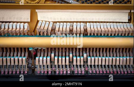 Dettagli del meccanismo a pianoforte gavel - corda, spille e martelli, pianoforte dal 1973 Foto Stock