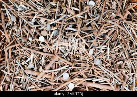 antica arrugginita e unghie metalliche usate su fondo piatto Foto Stock