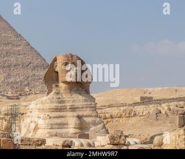 Vista frontale di giza Sphinx dal punto di vista turistico in Cairo, Egitto, Africa Foto Stock