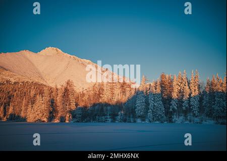 La serena bellezza di una mattinata invernale negli alti Tatra, vista dal lago Strbske pleso Foto Stock