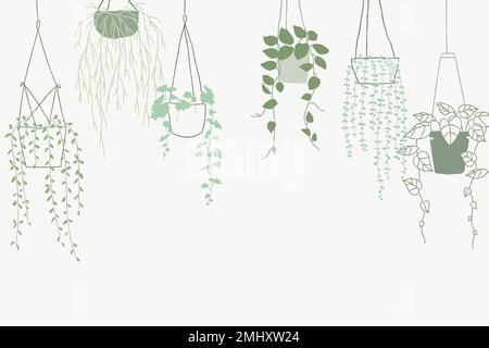 Fondo vettoriale di pianta in vaso verde Illustrazione Vettoriale