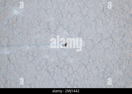 Drone aereo Foto di persona Bolivia Salar de Uyuni Appartamenti di sale Foto Stock