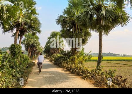 Strada panoramica del villaggio indiano fiancheggiata da palme su entrambi i lati e vista delle fattorie agricole. Foto Stock