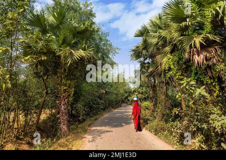 Strada panoramica del villaggio indiano fiancheggiata da palme su entrambi i lati e vista delle fattorie agricole. Foto Stock