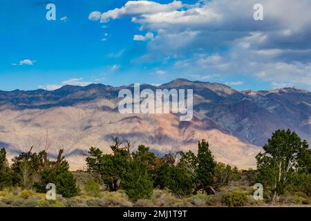 Vista delle montagne che si affaccia a est dal Manzanar National Historic Site, Owens Valley, California, Stati Uniti Foto Stock