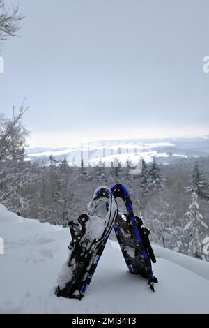Vista dalla montagna Moerschieder Burr nel Parco Nazionale di Hunsrueck-Hochwald del paesaggio innevato con le racchette da neve in primo piano Foto Stock