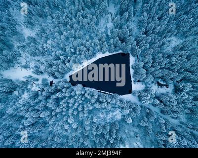 Aerial view of a small lake in the forest near Schnee, Black Forest, Germany Foto Stock