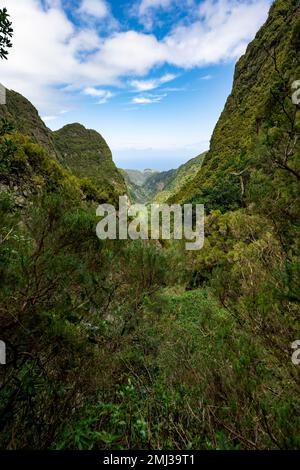 Vista delle ripide montagne boscose, Levada do Caldeirao Verde, Parque Florestal das Queimadas, Madeira, Portogallo Foto Stock