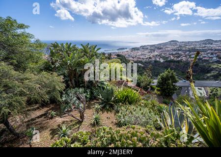 Giardino Botanico di Funchal, Jardim Botanico, vista della città di Funchal, Madeira, Portogallo Foto Stock