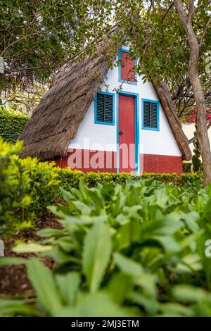 Casa tradizionale, Giardino Botanico Funchal, Jardim Botanico, Madeira, Portogallo Foto Stock