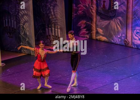 Cangas, Pontevedra, Spagna. 26 gennaio 2023. Danza spagnola di Elizaveta Savina e Luca Pelaia. The Nutcracker performance by the International Ballet Company Credit: Xan Gasalla/Alamy Live News Foto Stock