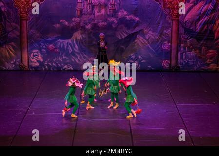 Cangas, Pontevedra, Spagna. 26 gennaio 2023. Drosselmeyer: Sergey Iliin e gli allievi delle scuole di danza locali durante lo spettacolo. Lo spettacolo dello Schiaccianoci dell'International Ballet Company. Credit: Xan Gasalla/Alamy Live News Foto Stock